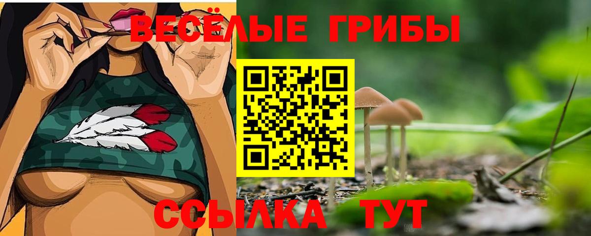 Галлюциногенные грибы Magic Shrooms  Вход с VPN  Галлюциногенные грибы Psilocybine cubensis  Копейск 